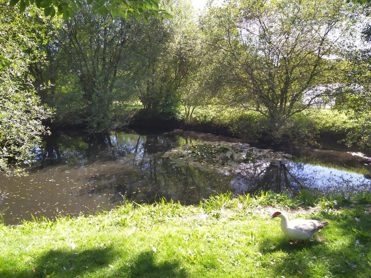 Maison En Granit Bleue Lanhelin Zewnętrze zdjęcie